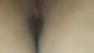 Chinesa karol