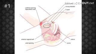How to Munch a Cootchie