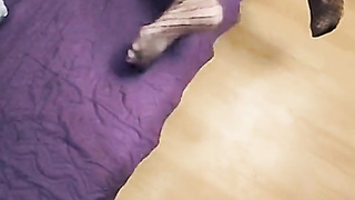 Real thin wifey with congenital mammories