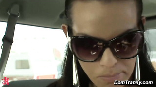 Foxxy Leads Leo Thru Wild Armory Trip