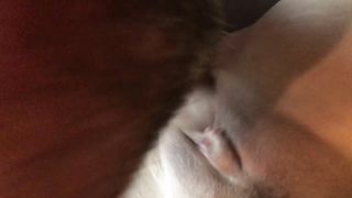 Up close Morning boink and going knuckle deep for Steamy Cougar