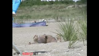 Trimmed and unshaved unexperienced beavers on covert web cam beach