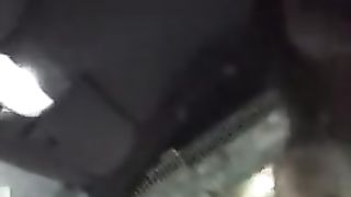 Nailing and Railing Firm in the Truck