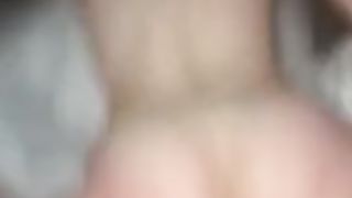 Shagging Fragile Tryst after Concert