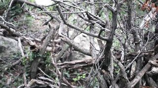 Risky Public Fake Penis Plow In A Unshaved Onsie    freckledRED