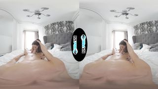 WETVR Hostel Fantasy come True Hook up in VR