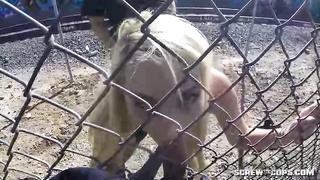 Dick lovin’ towheaded stunner is providing oral jobs to various dudes, in public places and even getting pulverized