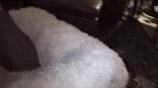 Fancy & BIG BLACK COCK