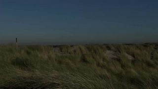 Poon licking Verona camper de Leur