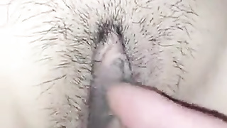 Amateur video