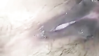 Amateur video