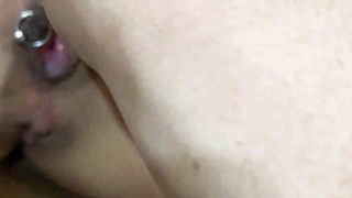 Daily instructing of doll dogs4