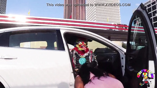 Edible Tee Gets Romped by Gibby The Clown on A Engaged Highway During Rush Hour