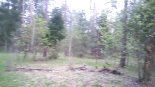 Inexperienced Fellatio in the woods