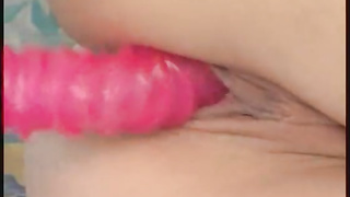 Pajkos.Nyelvecskek.Sc2