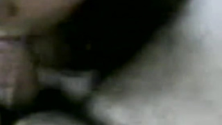 Fledgling Arab oral job at home - Allvideosx.com