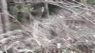 The off the hook Cohf Jism Kitten