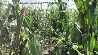 Riley Jacobs frolicking in corn realm