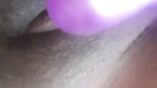 FLICK-2017 pussy.
