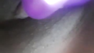 FLICK-2017 pussy.
