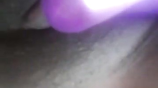 FLICK-2017 pussy.