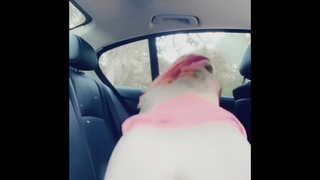 BabyDomRosie gets bizarre in public with her fake penis