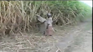 African fellow is smashing a promiscuous, blondie tourist who came to his village to have some joy