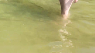 At the end of the day on the beach his mommy deep throats his knob and gets smashed with her sonnie.