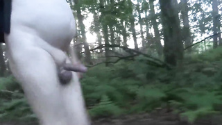 four damsels only: Azginim1 - Public nude walk, getting off and humping a bench @Belgium Tessenderlo Zavelberg - xxxxxxxx