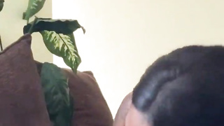 MRSFEEDME & HUNCHO94 COMPILATION