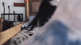 Dark haired pecker dicksucker is providing a deep, voluptuous suck off to her neighbor, just for joy