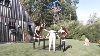 Flogged to blubbering