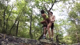 Rock-Hard and rapid in the forest