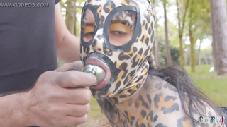 A pile of milk for this pussycat