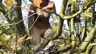 Caught brief and urinating in a tree