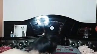 Tango duo humping flick