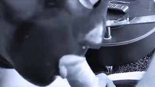 Blashure - Meine Blashure - EroProfile