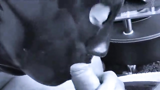 Blashure - Meine Blashure - EroProfile