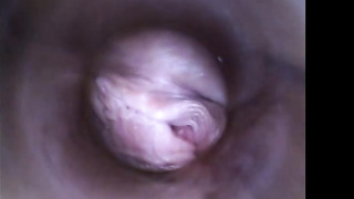 Ultra-Cute gal, Kira is wanking with an endoscope so she can watch her snatch from inwards