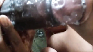 Sc joy wit bizarre cougar