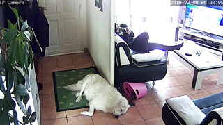 Hidden Camera Masturbation