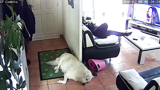 Hidden Camera Masturbation