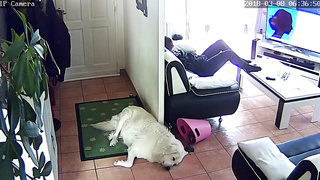 Hidden Camera Masturbation