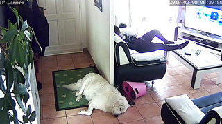 Hidden Camera Masturbation