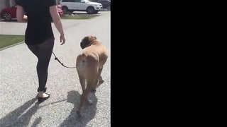 Bootylicious black-haired is showcasing her bootie in the nature, because it arouses her a bunch