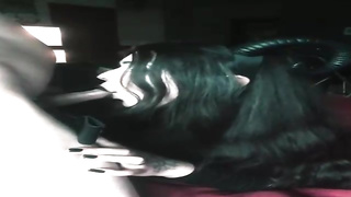 Naughty Satan woman is getting down on all fours in front of a human and providing him an extraordinaire oral pleasure