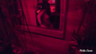 I record a magnificent damsel from the guest room window as she milks.