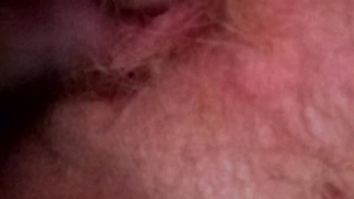 Fucking living pussy