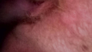 Fucking living pussy