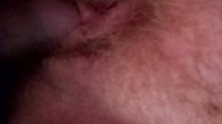 Fucking living pussy